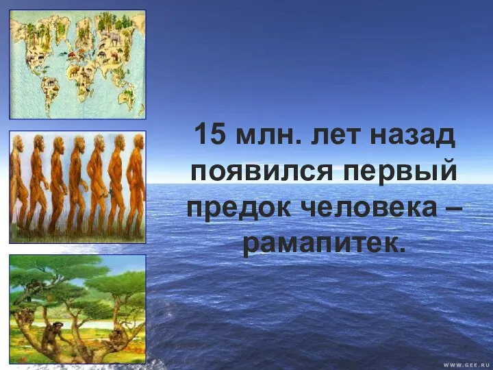 15 млн. лет назад появился первый предок человека – рамапитек.