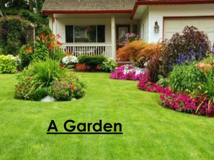 A Garden