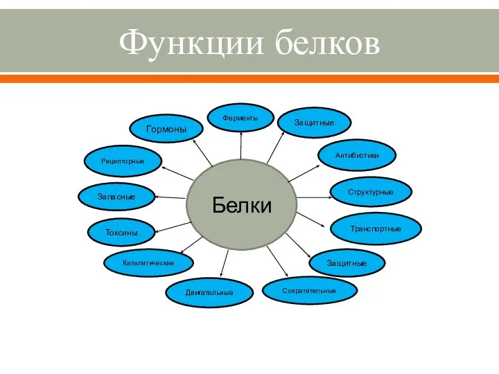 Функции белков Белки Ферменты Защитные Антибиотики Структурные Двигательные Защитные Токсины Запасные Рецепторные Гормоны Каталитические Транспортные Сократительные