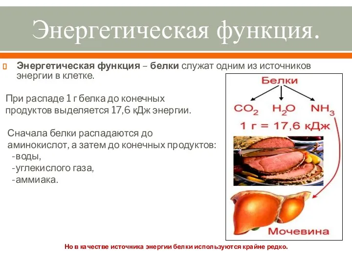 Энергетическая функция. Энергетическая функция – белки служат одним из источников энергии в