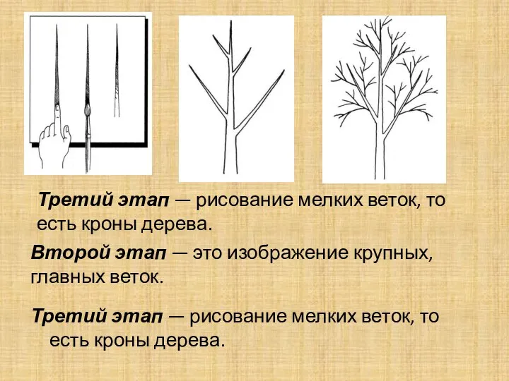 Второй этап — это изображение крупных, главных веток. Третий этап — рисование