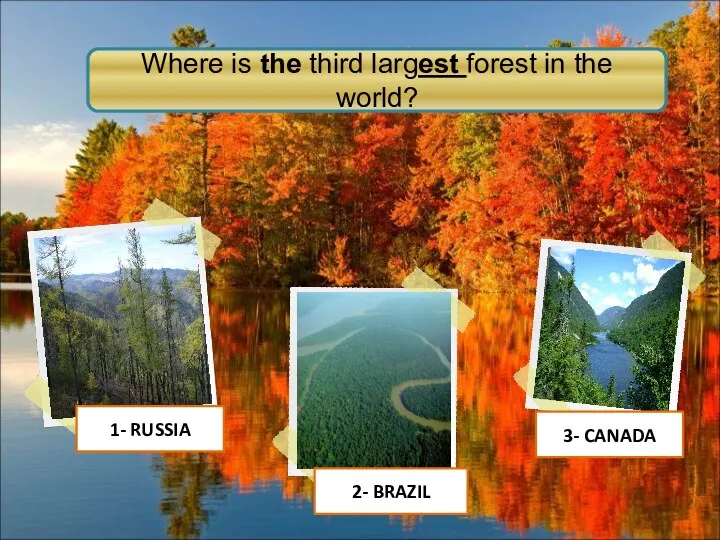 3- CANADA 2- BRAZIL 1- RUSSIA Where is the third largest forest in the world?
