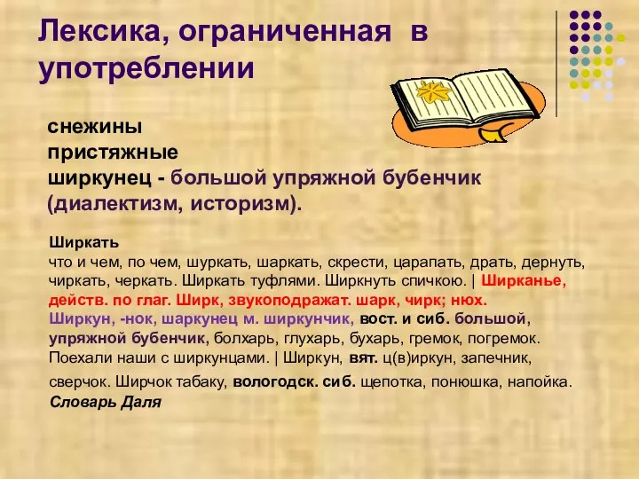 Лексика, ограниченная в употреблении снежины пристяжные ширкунец - большой упряжной бубенчик (диалектизм,