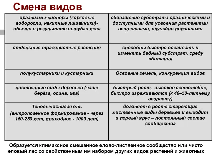 Смена видов Образуется климаксное смешанное елово-лиственное сообщество или чисто еловый лес со