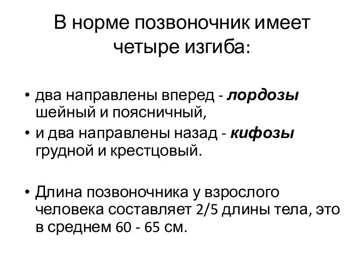 В норме позвоночник имеет четыре изгиба: два направлены вперед - лордозы шейный