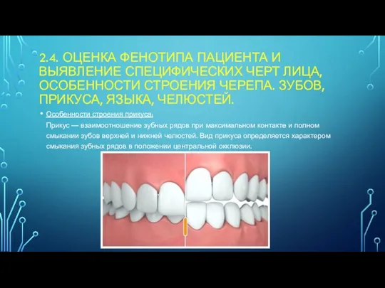 2.4. ОЦЕНКА ФЕНОТИПА ПАЦИЕНТА И ВЫЯВЛЕНИЕ СПЕЦИФИЧЕСКИХ ЧЕРТ ЛИЦА, ОСОБЕННОСТИ СТРОЕНИЯ ЧЕРЕПА.