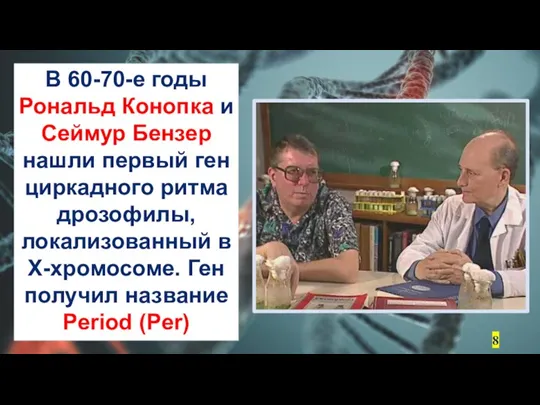 В 60-70-е годы Рональд Конопка и Сеймур Бензер нашли первый ген циркадного