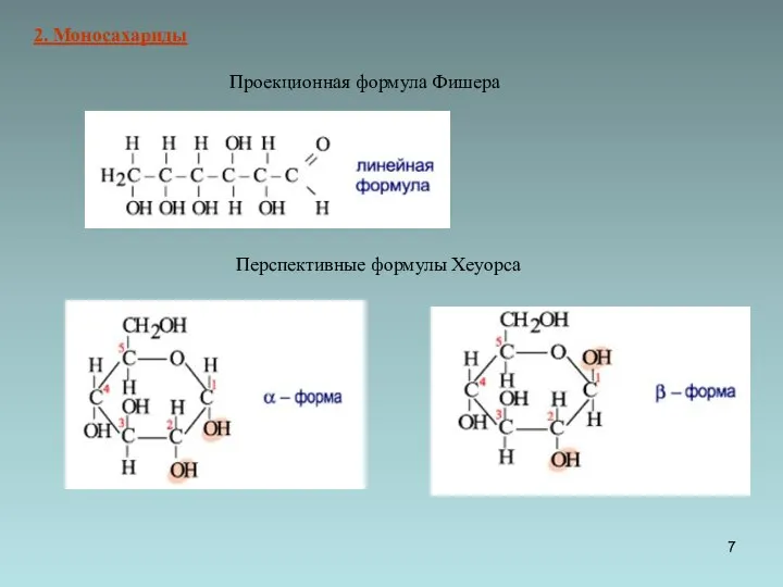 Проекционная формула Фишера 2. Моносахариды Перспективные формулы Хеуорса