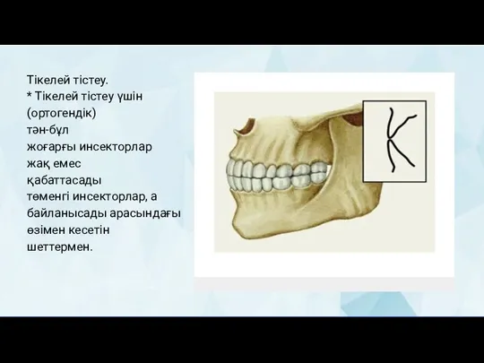 Тікелей тістеу. * Тікелей тістеу үшін (ортогендік) тән-бұл жоғарғы инсекторлар жақ емес