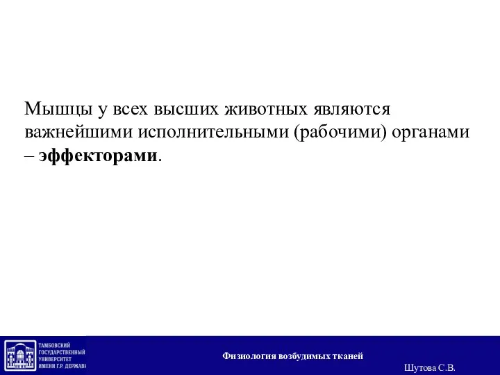 Мышцы у всех высших животных являются важнейшими исполнительными (рабочими) органами – эффекторами.