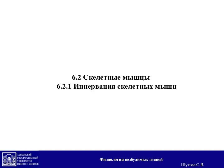 6.2 Скелетные мышцы 6.2.1 Иннервация скелетных мышц Физиология возбудимых тканей Шутова С.В.