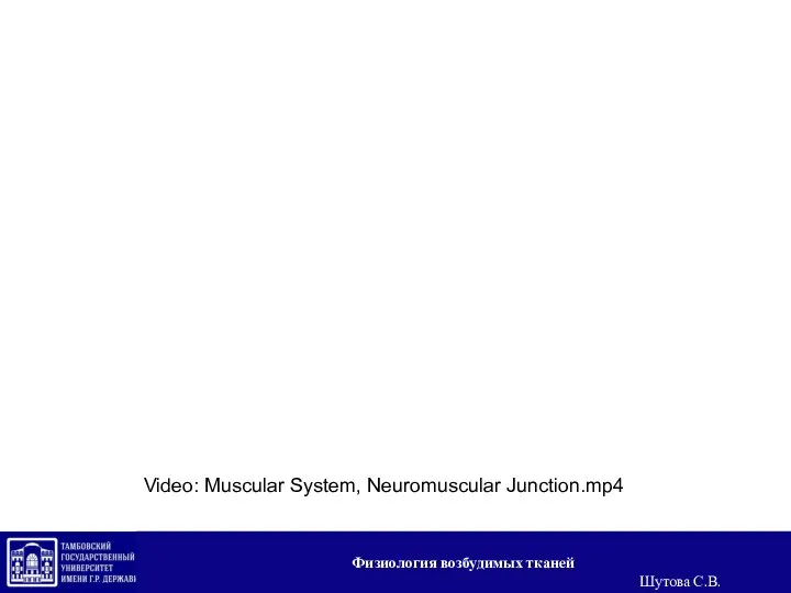 Video: Muscular System, Neuromuscular Junction.mp4 Физиология возбудимых тканей Шутова С.В.