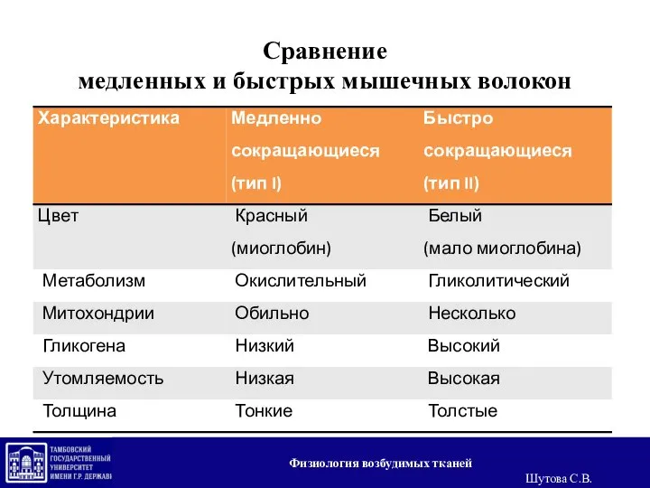 Сравнение медленных и быстрых мышечных волокон Физиология возбудимых тканей Шутова С.В.