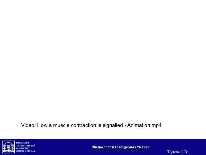 Video: How a muscle contraction is signalled - Animation.mp4 Физиология возбудимых тканей Шутова С.В.