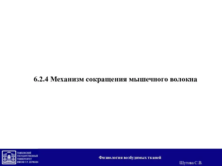 6.2.4 Механизм сокращения мышечного волокна Физиология возбудимых тканей Шутова С.В.