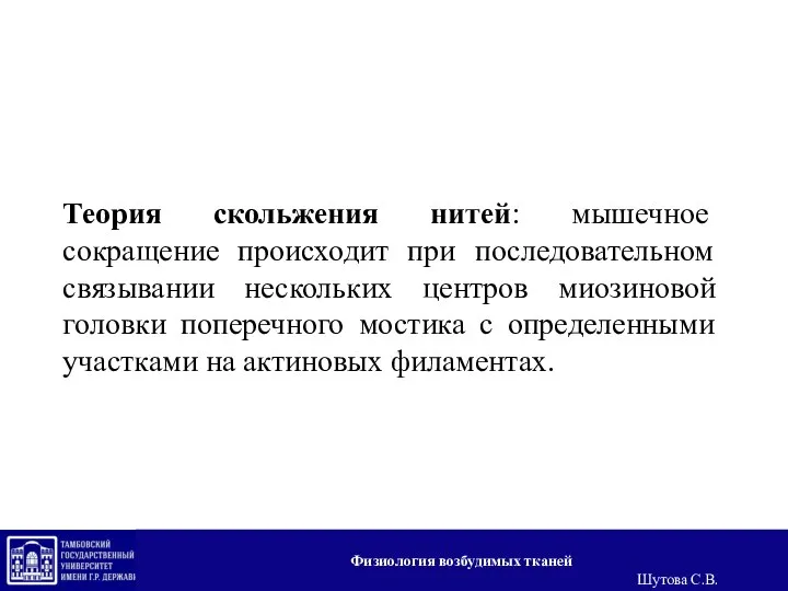 Теория скольжения нитей: мышечное сокращение происходит при последовательном связывании нескольких центров миозиновой