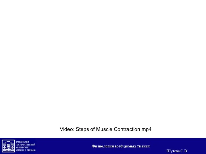 Video: Steps of Muscle Contraction.mp4 Физиология возбудимых тканей Шутова С.В.