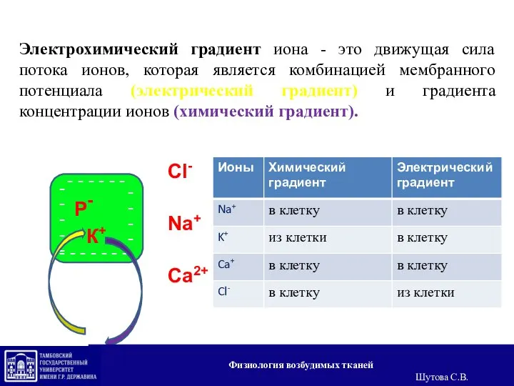 Электрохимический градиент иона - это движущая сила потока ионов, которая является комбинацией