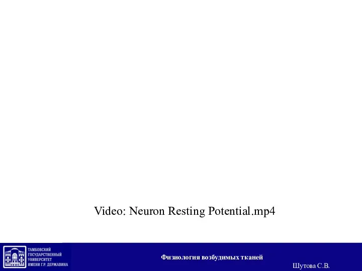 Video: Neuron Resting Potential.mp4 Физиология возбудимых тканей Шутова С.В.
