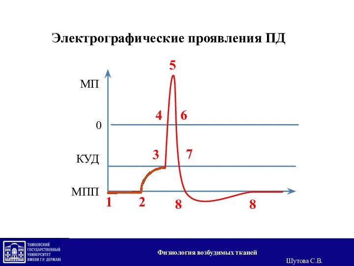 Электрографические проявления ПД МПП МП КУД 0 8 6 5 4 3