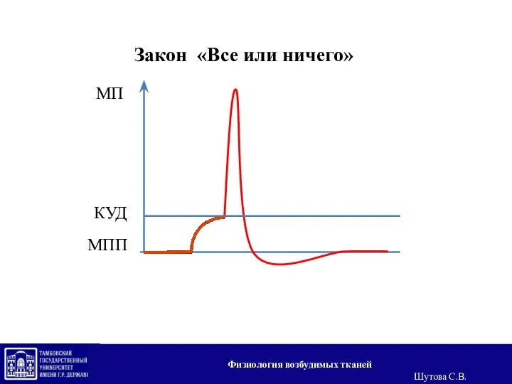 Закон «Все или ничего» МПП МП КУД Физиология возбудимых тканей Шутова С.В.