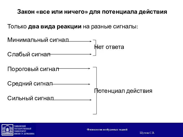 Закон «все или ничего» для потенциала действия Только два вида реакции на