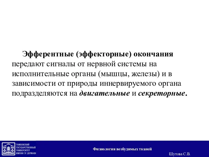 Эфферентные (эффекторные) окончания передают сигналы от нервной системы на исполнительные органы (мышцы,