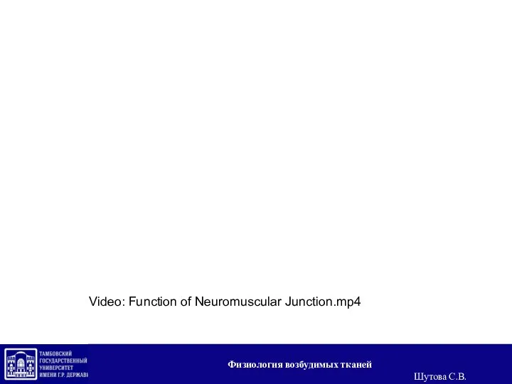 Video: Function of Neuromuscular Junction.mp4 Физиология возбудимых тканей Шутова С.В.