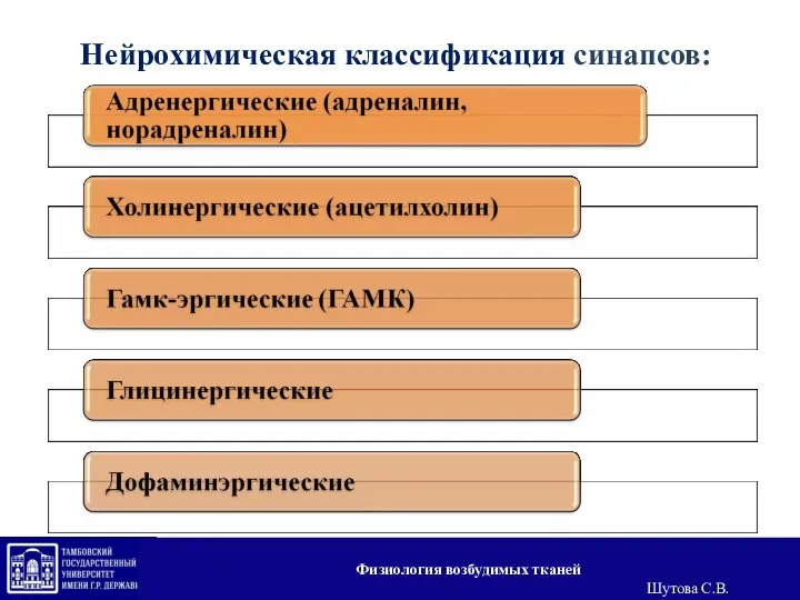 Нейрохимическая классификация синапсов: Физиология возбудимых тканей Шутова С.В.