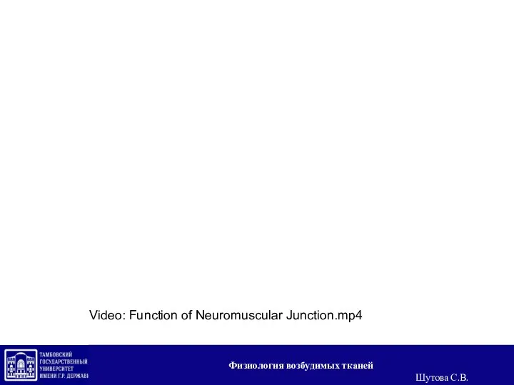 Video: Function of Neuromuscular Junction.mp4 Физиология возбудимых тканей Шутова С.В.