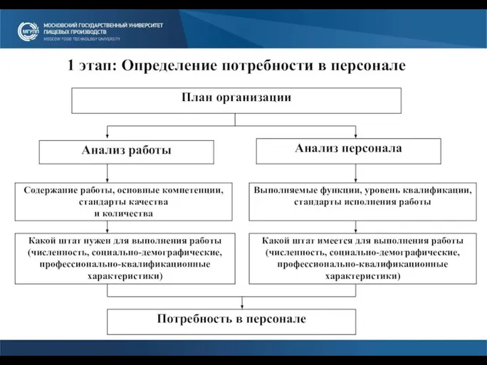 1 этап: Определение потребности в персонале