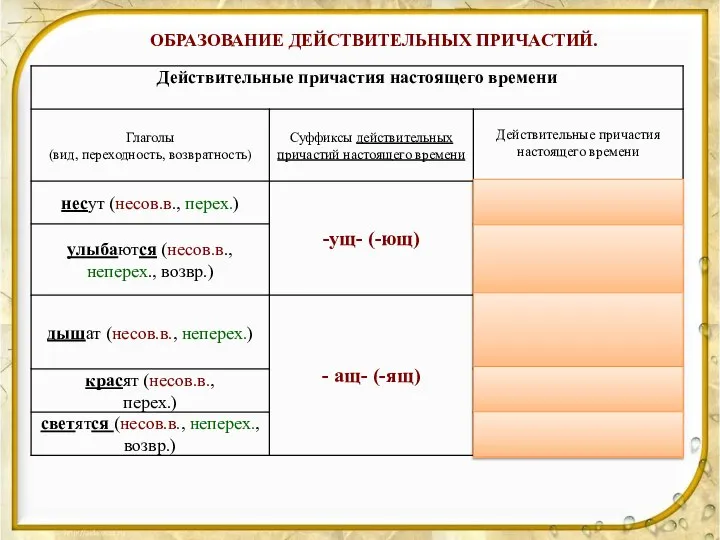 ОБРАЗОВАНИЕ ДЕЙСТВИТЕЛЬНЫХ ПРИЧАСТИЙ.