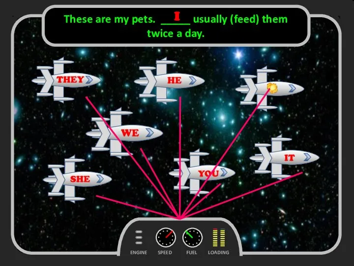 FUEL SPEED LOADING ENGINE These are my pets. _____ usually (feed) them twice a day. I