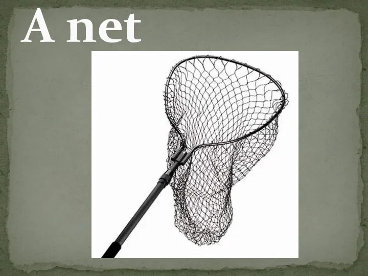 A net