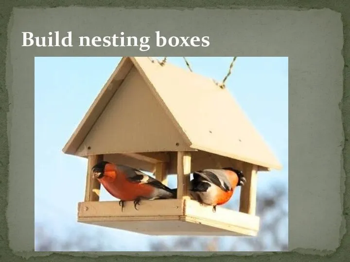 Build nesting boxes