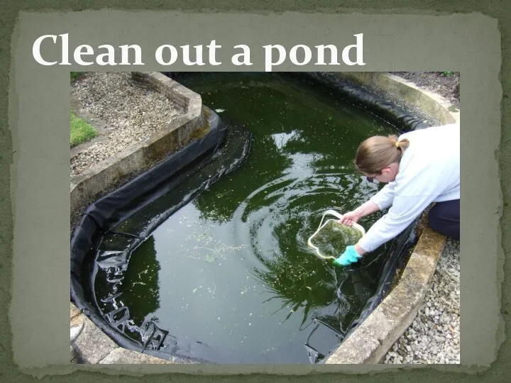 Clean out a pond