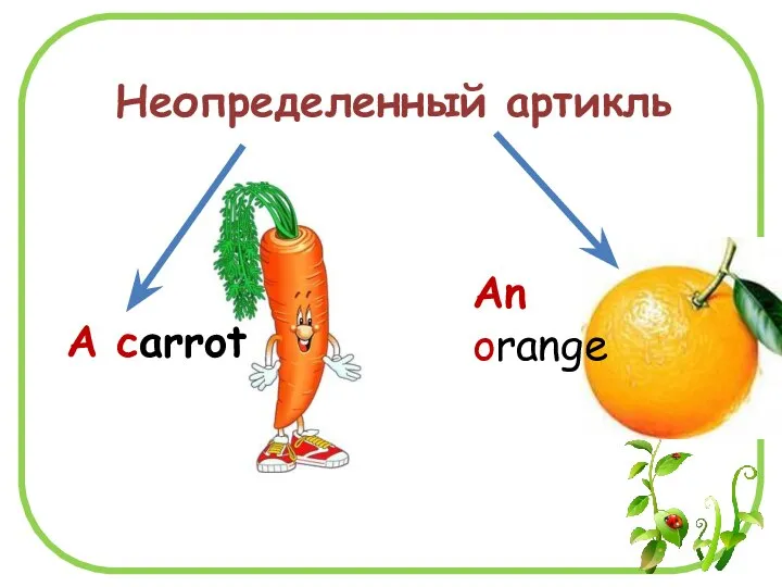 An orange Неопределенный артикль A carrot