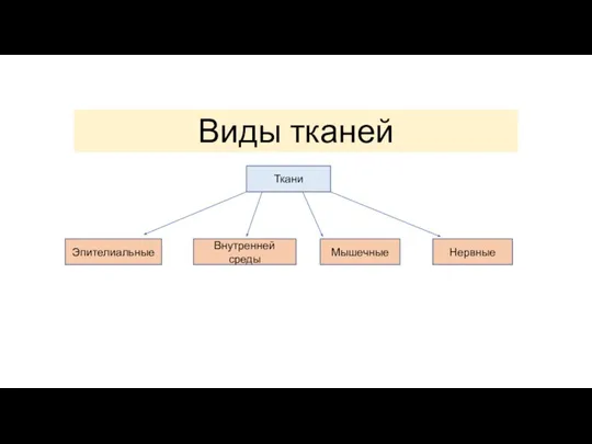 Виды тканей Ткани Эпителиальные Внутренней среды Мышечные Нервные