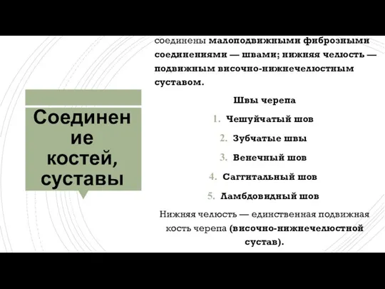 Соединение костей, суставы Все кости черепа, кроме нижней челюсти, соединены малоподвижными фиброзными