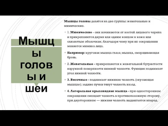 Мышцы головы и шеи Мышцы головы делятся на две группы: жевательные и