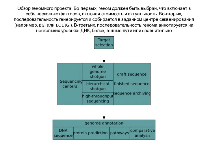 Обзор геномного проекта. Во-первых, геном должен быть выбран, что включает в себя