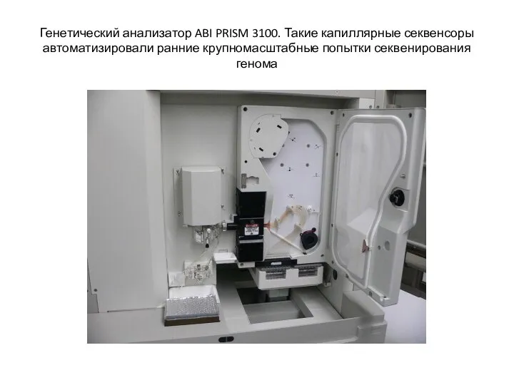 Генетический анализатор ABI PRISM 3100. Такие капиллярные секвенсоры автоматизировали ранние крупномасштабные попытки секвенирования генома