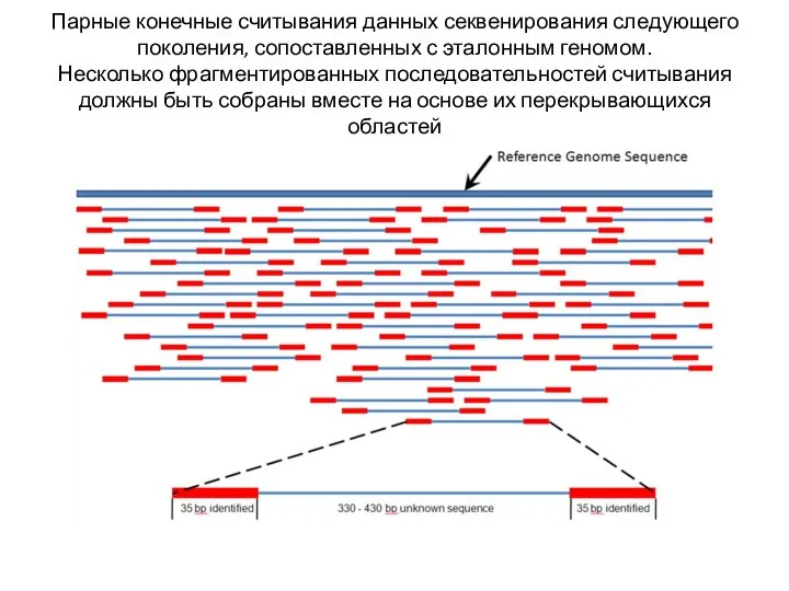 Парные конечные считывания данных секвенирования следующего поколения, сопоставленных с эталонным геномом. Несколько