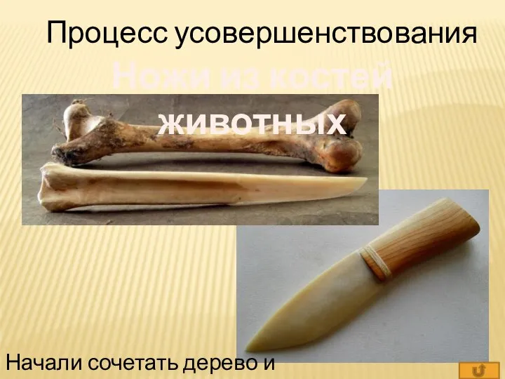 Процесс усовершенствования Ножи из костей животных Начали сочетать дерево и кость.