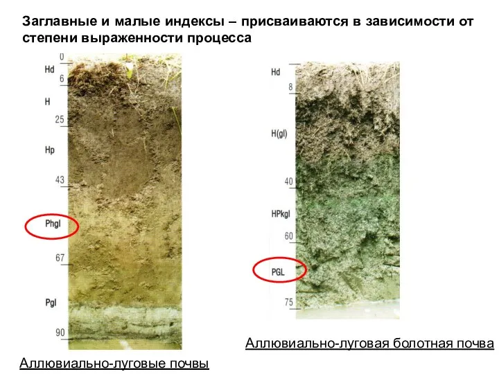 Заглавные и малые индексы – присваиваются в зависимости от степени выраженности процесса