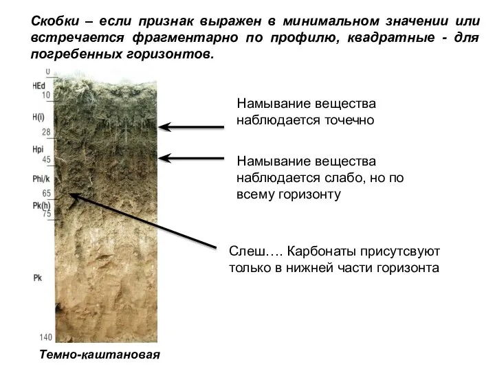 Скобки – если признак выражен в минимальном значении или встречается фрагментарно по