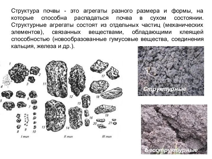 Структура почвы - это агрегаты разного размера и формы, на которые способна