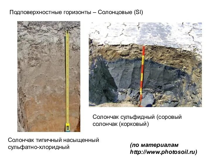 Подповерхностные горизонты – Солонцовые (Sl) Солончак типичный насыщенный сульфатно-хлоридный Солончак сульфидный (соровый