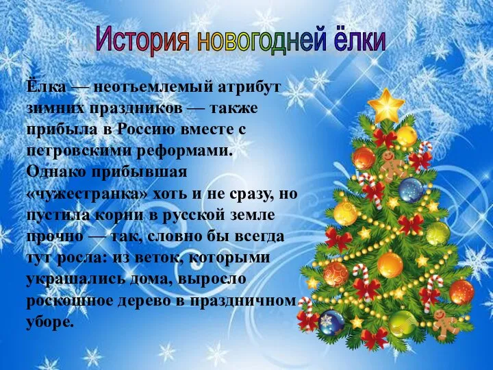 Ёлка — неотъемлемый атрибут зимних праздников — также прибыла в Россию вместе