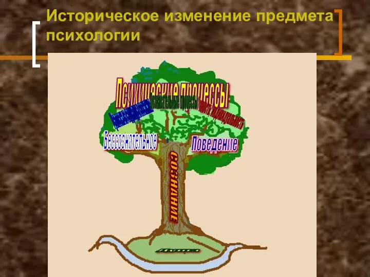 Историческое изменение предмета психологии СОЗНАНИЕ Душа Психические процессы Бессознательное Поведение Целостные структуры